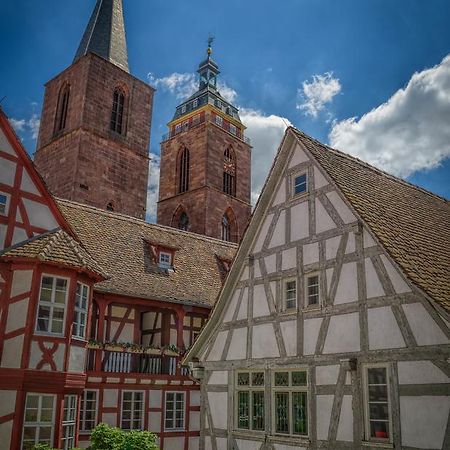 Steinhaeuser Hof Neustadt an der Weinstrasse Bagian luar foto