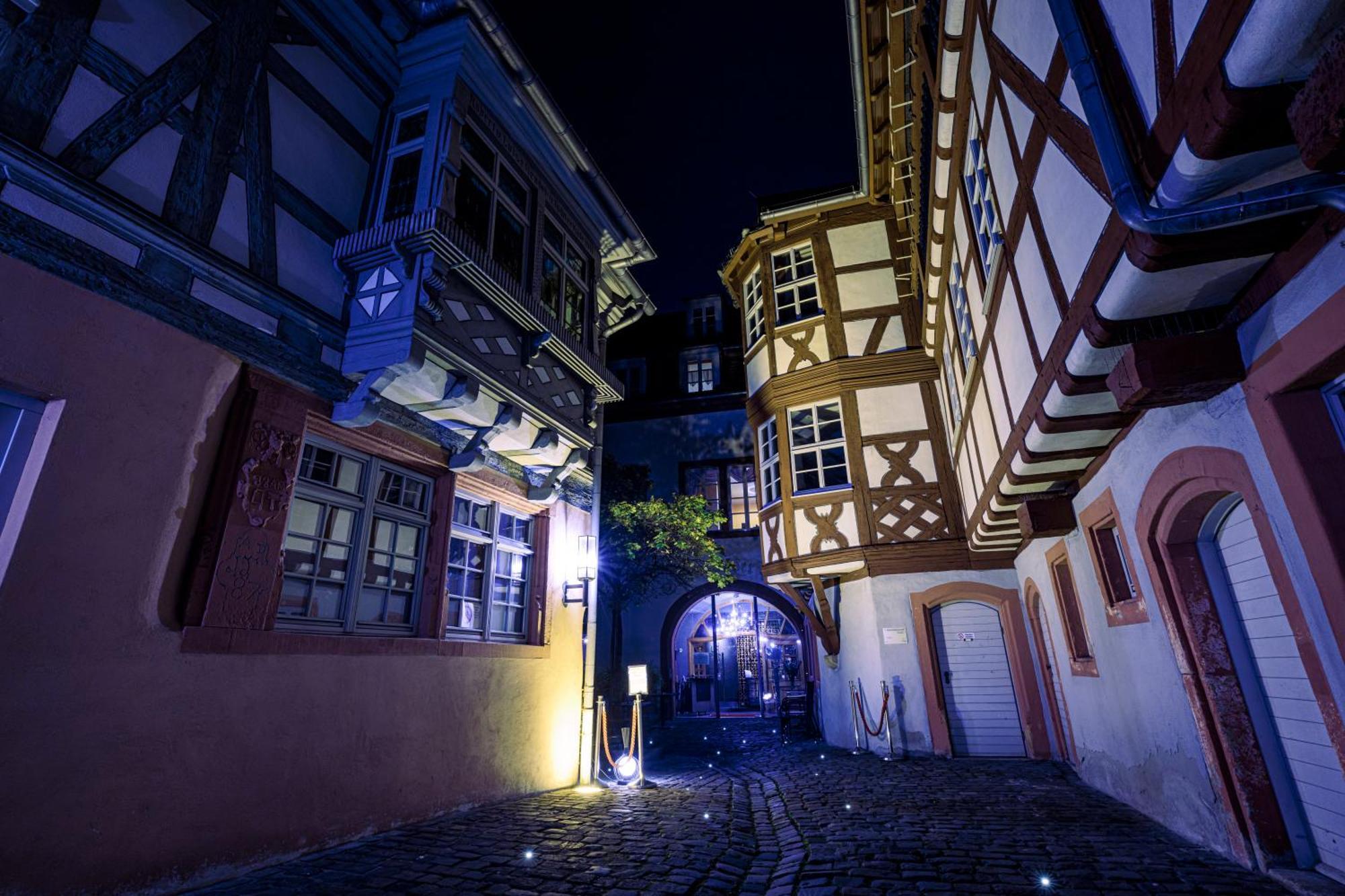 Steinhaeuser Hof Neustadt an der Weinstrasse Bagian luar foto