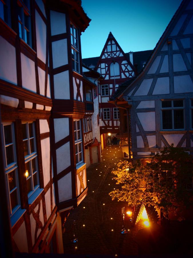 Steinhaeuser Hof Neustadt an der Weinstrasse Bagian luar foto
