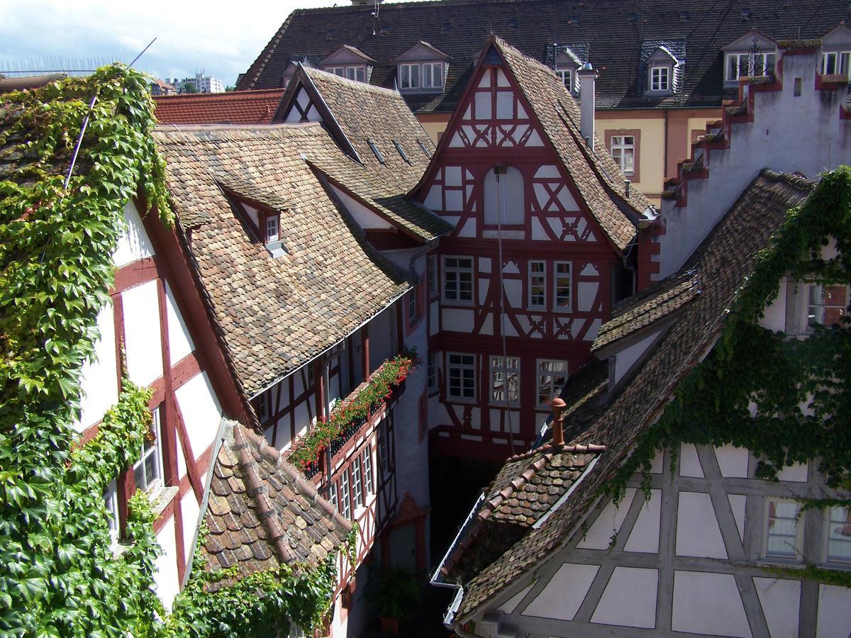 Steinhaeuser Hof Neustadt an der Weinstrasse Bagian luar foto