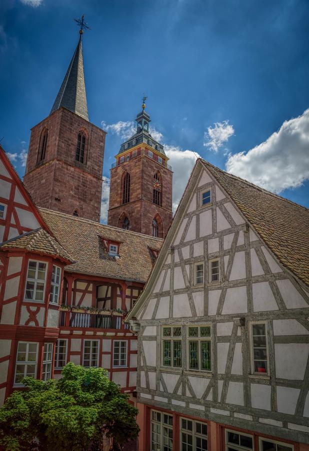 Steinhaeuser Hof Neustadt an der Weinstrasse Bagian luar foto