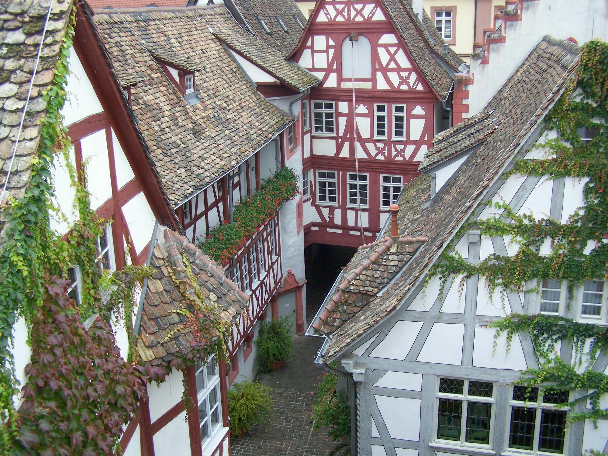 Steinhaeuser Hof Neustadt an der Weinstrasse Bagian luar foto